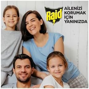 Raid Karasinek ve Sivrisineklere Karşı Sinek Öldürücü (1 x 300 ml)