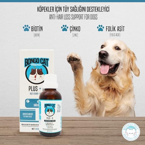 BONGO CAT Plus +B For Dogs - 50Ml (köpekler Için Tüy Sağlığı Destekleyici Damla)