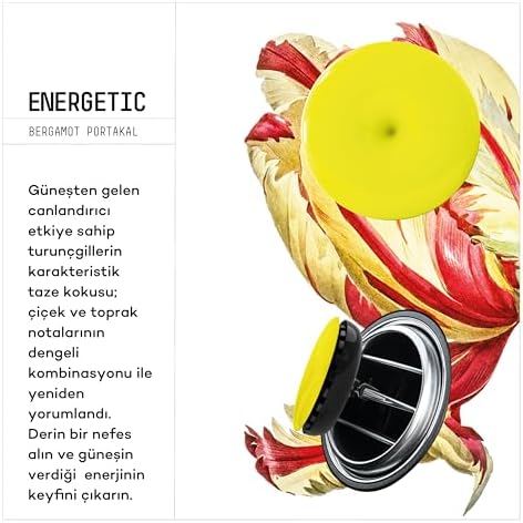Alternative view of VAVANA Spin Araba Klima Kokusu - Profesyonel Otomobil Kokusu | BPA & Sıvı İçermez | 90 Gün Etkili - 6'lı Set