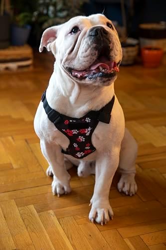 Kırmızı Pati Çantalı Göğüs Tasması, Köpek Sırt Çantası –, Su Geçirmez, Göğüs Tasması Fonksiyonlu, Ayarlanabilir, Large