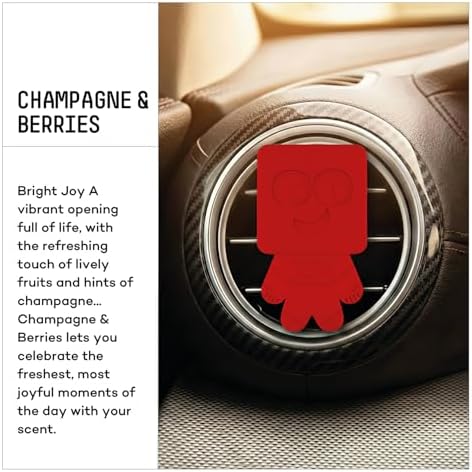VAVANA Jooy Araba Klima Kokusu - Oto Kokusu | BPA & Sıvı İçermez | 90 Gün Etkili (Champagne & Berries)