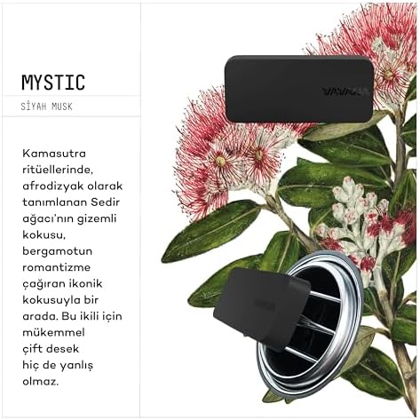 Alternative view of VAVANA Araba Klima Kokusu - Flat Oto Kokusu | BPA ve Sıvı İçermez | 60 Gün Etkili Araç Kokusu 2'li Set (Mystic)