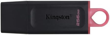 256GB USB Bellek USB3.2 Gen1 DTX/256 GB