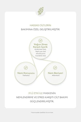 Alternative view of Hassas Ciltler İçin Artemisia Özü İçeren Nemlendirici Yaprak Maske Artemisia Ampoule Mask