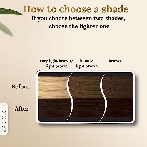 Sea Colorist Set Saç Boyası 5.0 Kahve Çekirdeği Coffee Bean - Görsel 3