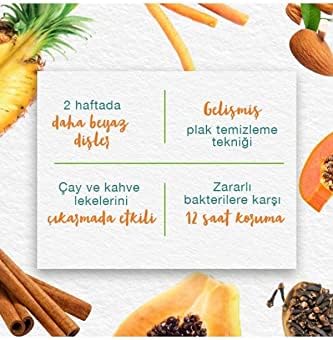 Himalaya Leke Karşıtı Bitkisel Diş Macunu, Florürsüz, Parabensiz, Vejeteryan, Leke Çıkartıcı, Bitkisel Enzim Teknolojisi, 75 ml - Görsel 3