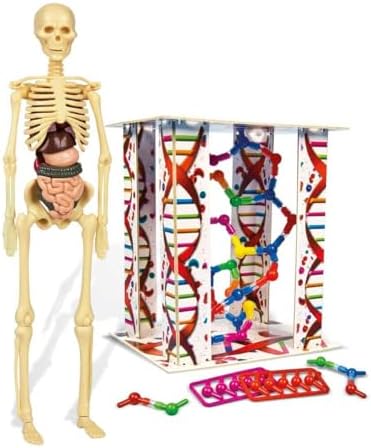 Alternative view of - 64297 - İlk Keşiflerim - İnsan Anatomisi