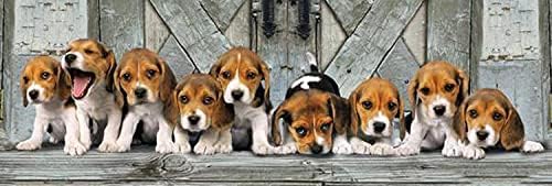 - 1000 Parça HQ Panorama Yetişkin Puzzle - Beagles