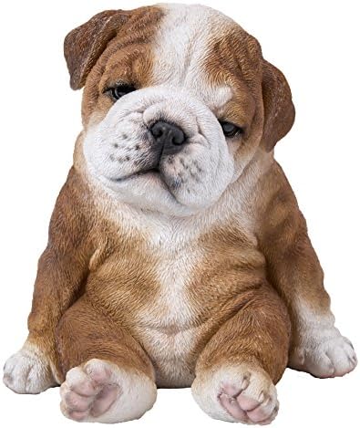 Alternative view of Oturan Uykulu Bulldog Yavru Köpek