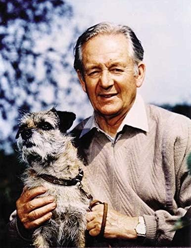 Alternative view of All Creatures and Small: The Memoirs of a Yorkshire Country Vet