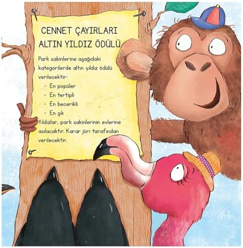 Alternative view of Altın Yıldız Yarışması: Pedagog Onaylı