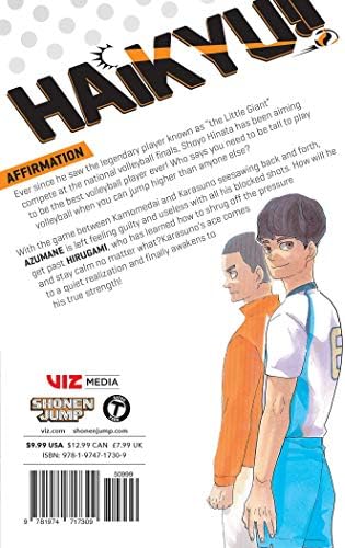 Alternative view of Haikyu!!, Vol. 40: Affirmation (Volume 40)