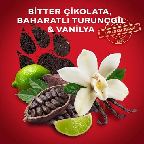 Night Panther Erkek Sprey Vücut Deodorantı 150 ml - Görsel 2