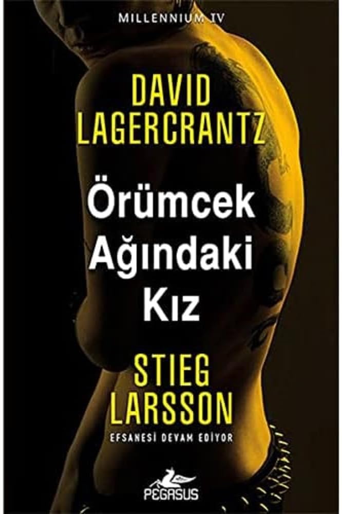 Örümcek Ağındaki Kız: Millennium Serisi - 4