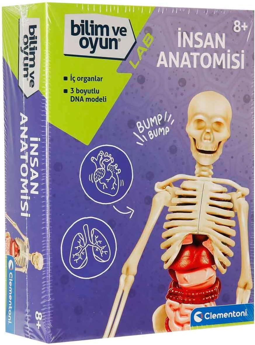 - 64297 - İlk Keşiflerim - İnsan Anatomisi - Görsel 3
