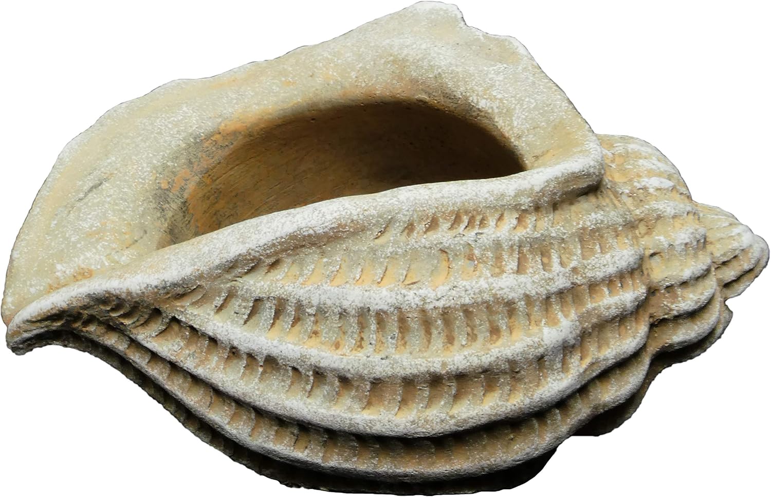 Alternative view of Classic  260024-C149 Jagger Kabuğu Sukulent Saksısı, Kum
