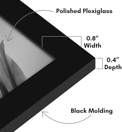 8x12 Picture Frame with Polished Plexiglass - Set of 12 - Signature Collection - Picture Frames with Engineered Wood - Photo Frame for Tabletop and Wall Display - Black
