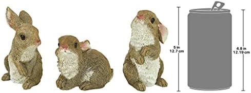Design Toscano QM92008 The Bunny Den Rabbits İç/Dış Mekan Bahçe Hayvan Heykelleri, 9,5 cm Genişliğinde, 10,5 cm Derinliğinde, Tam Renkli Kaplama - Görsel 2