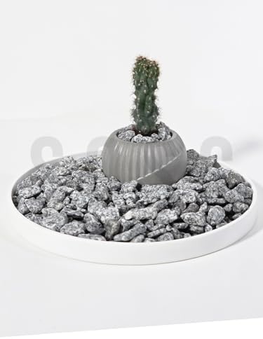Natural Granit Dekoratif Çakıl Taşı, Gri Beyaz, 1-2 cm, 3 kg, Bahçe Peyzaj Saksı Akvaryum Teraryum için Doğal Taş - Görsel 3