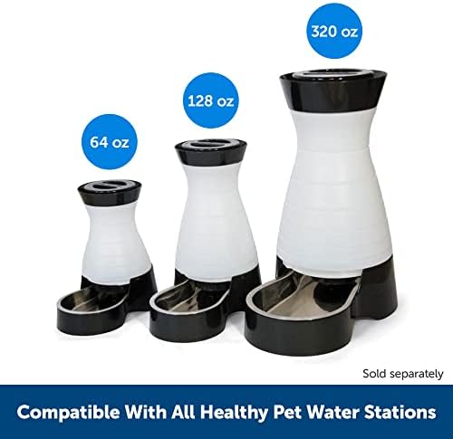 PetSafe Sağlıklı Pet Su Filtresi - Hindistan Cevizi Karbonu Suyu Taze Tutar - Sağlıklı Evcil Hayvan Su İstasyonları ile Uyumlu - Abone Ol ve Tasarruf Et - 6-8 Hafta Sürer - Diğer Markalardan 2 Kat - Görsel 3
