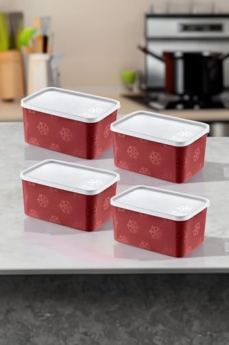4'Lü Set No Frost Saklama Kabı Carmen 2600 ML - Görsel 2