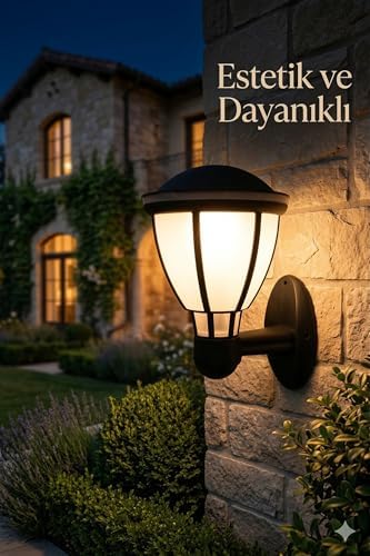 Kupa Serisi Bahçe Duvar Apliği 37 cm - Siyah E27 Duylu Zita Dış Mekan Lambası - IP54 Su Geçirmez, UV Korumalı Modern Tasarım (Ampul Hariç)