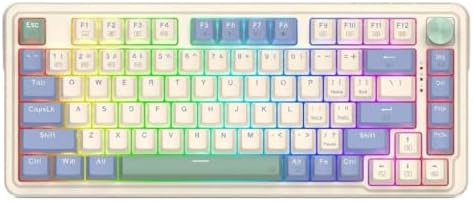 UCAL PRO K673CPG-RGB-PRO Beyaz Kablosuz Klavye