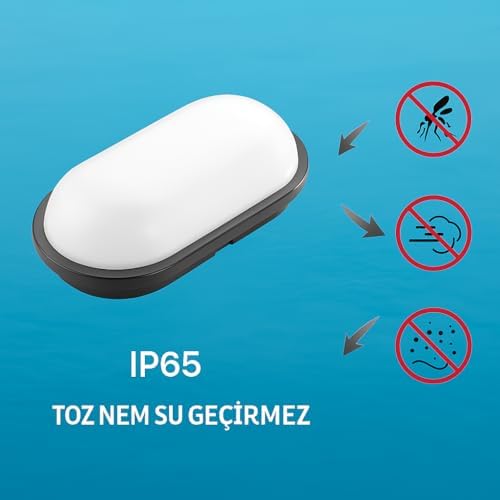15W Siyah IP65 Oval LED Tavan ve Duvar Lambası | 1500 Lümen Beyaz Işık | Su ve Toz Geçirmez Banyo Bahçe Balkon Aydınlatma Armatürü 220V - Görsel 3