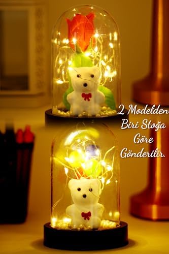 Alternative view of Telvesse 3 Modlu Led Işıklı Fanus İçinde Beyaz Ayıcık Detaylı Sevgiliye Hediyelik Dekoratif Gece Lambası