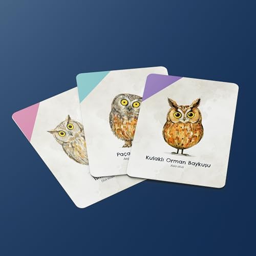 Alternative view of Uyanık Kedi – Eşleştirme Kart Oyunu | Baykuşları Eşleştir, Kediden Kurtul, Oyunu Kazan | 2-6 Oyuncu 6+ Yaş | Dikkat Odaklı Eğlence