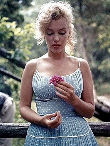 Alternative view of buyartforless Marilyn Monroe'nun Çiçekli Nadir Fotoğrafı 12x16 Sanat Baskılı Poster ABD'de Üretilmiştir