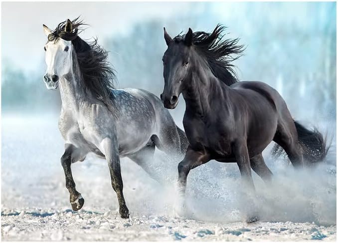 1000 Parça Puzzle - Horses (Atlar)