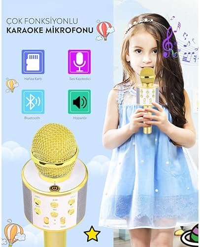 Babilden C-8501 Karaoke Mikrofon Bluetooth USB & TF & Aux (Gold)