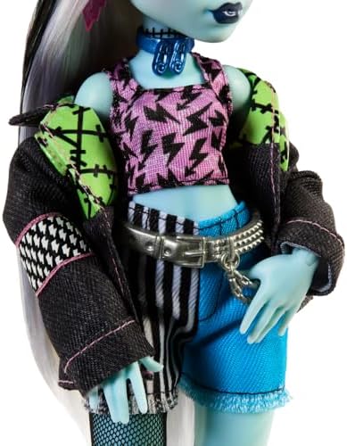 High Acayip Havalı Arkadaşlar - Frankie Stein, 3Y+, HXH73 - Görsel 2