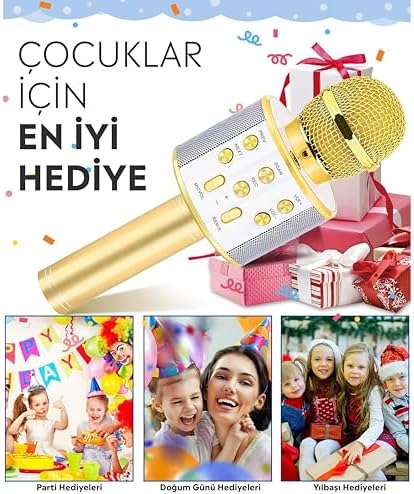 Alternative view of Babilden C-8501 Karaoke Mikrofon Bluetooth USB & TF & Aux (Gold)
