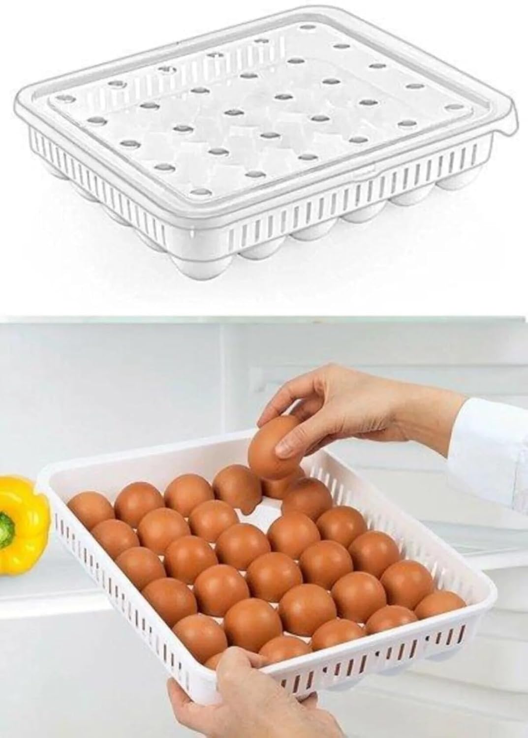 Alternative view of 30'lu Kapaklı Yumurta Saklama Kabı, Akrilik Plastik Yumurta Saklama Kabı, 30'lu Yumurtalık 681