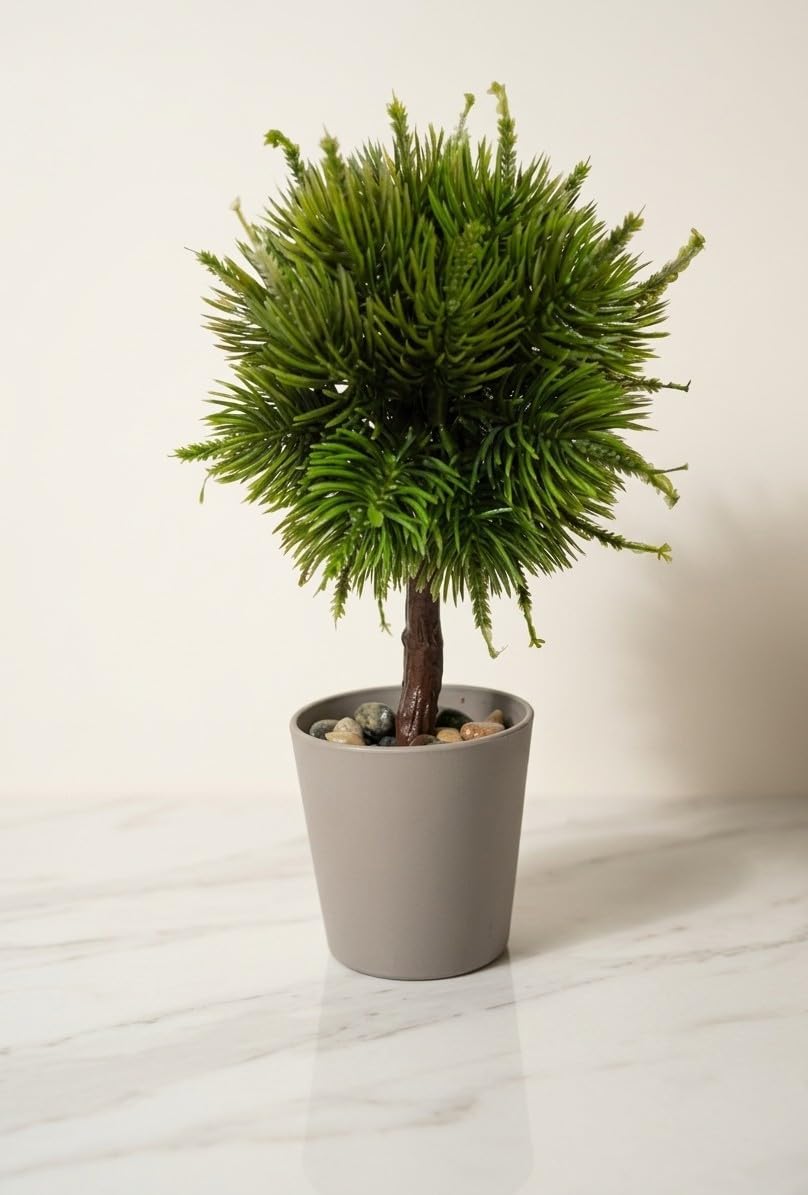 Alternative view of Modern Top Formlu Yapay Çam Bonsai, Taş Dolgulu Gri Saksıda Mini Ağaç, Çalışma Masası ve Raf Dekorasyonu