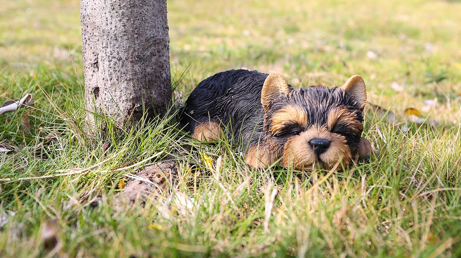 Alternative view of RUNADI Hi- Line Gift 87710-M Yorkshire Terrier Köpek Uyuyan Evcil Hayvan Dostları Heykeli, Siyah