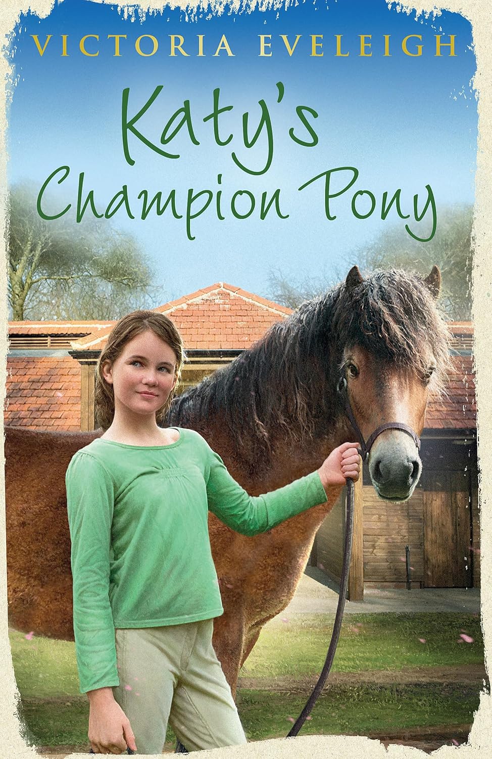 Katy's Exmoor Ponies: Katy's Champion Pony: Book 2